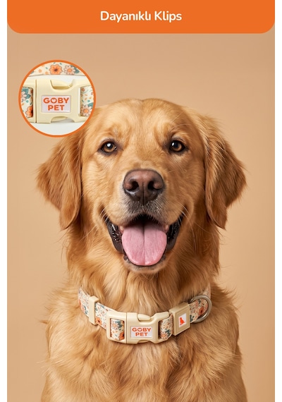 Köpekler İçin Dayanıklı Ve Güvenli, Desenli Boyun Tasması 25mm Krem