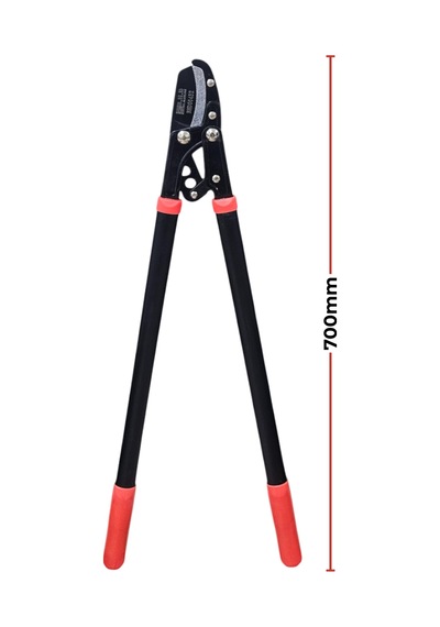 Fixonic B.h.d Bhd00452 5cm Dal Budama Makası