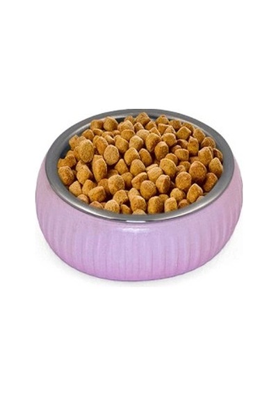 Dodes Mikopet Organik Seramik Mama Kabı Pembe