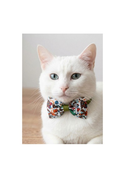 Kedi Papyon Tasma Yeşil