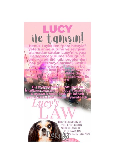 Petjoo 11.Lucy Gri-Pembe Qr'lı Köpek Künyesi