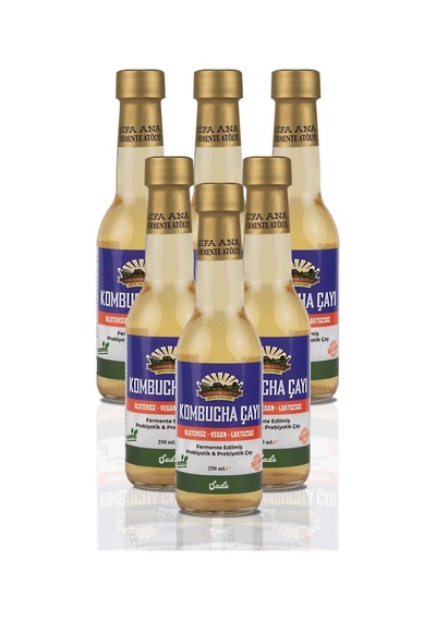 6 Adet Sade Kombucha 250ml. Cam Şişede