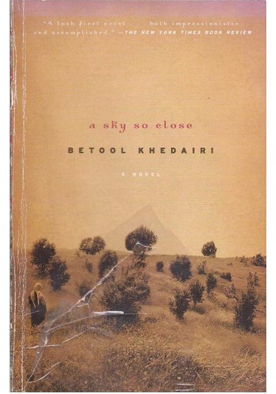 A Sky So Close: A Novel