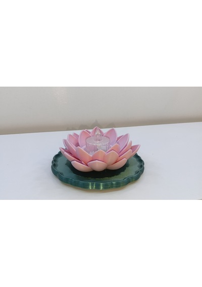 Lotus Pembe Mumuluk Pembe-yeşil