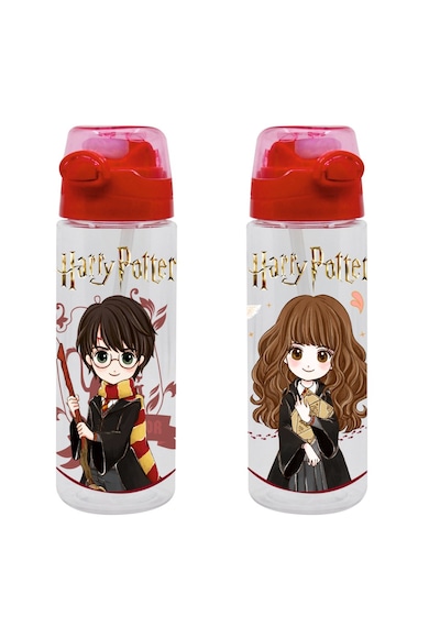 Harry Potter 700 Ml Şeffaf Matara