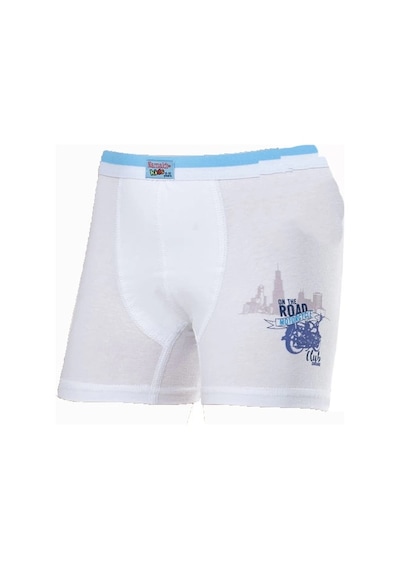 Namaldı 321 Erkek Çocuk Likralı Boxer KARIŞIK RENK