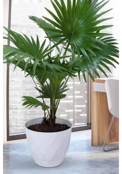 Omnipazar Krs-457 Yakamoz Tabaklı Plastik Saksı Takımı 26 Litre No 7 Beyaz