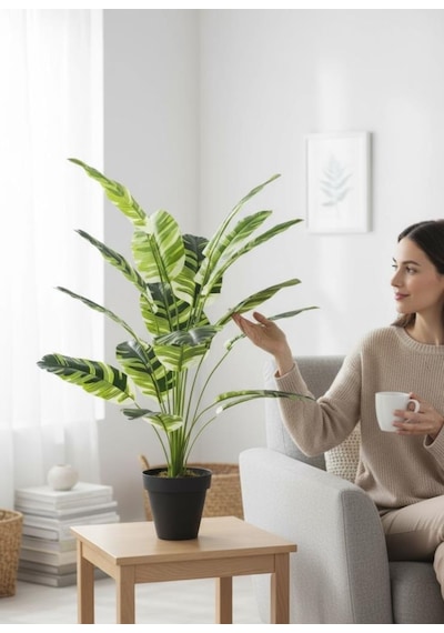 Yapay Çiçek Çizgili Muz Yapraklı Alaca Starliçe Salon Çiçeği 18dal 80 50cm Yapay Bitki Yeşil