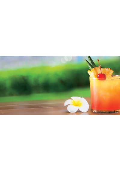 Little Trees 3'Lü Set Mai Tai - Pasifik Meyveleri Oto Kokusu