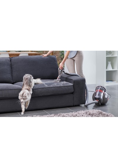 Dyson Big Ball Absolute 2 600 W Kablolu Süpürge