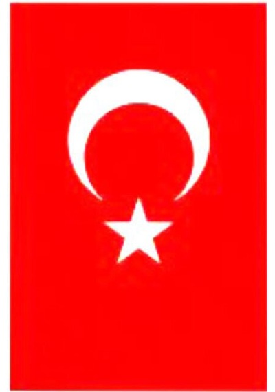 4 Adet Türk Bayrak 30x45