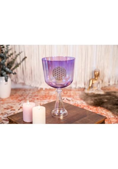 Meinl Sonic Energy Csc8fpfol Hayatın Çiçeği Kalp Çakrası 8'' Crystal Singing Ses Kadehi Purple