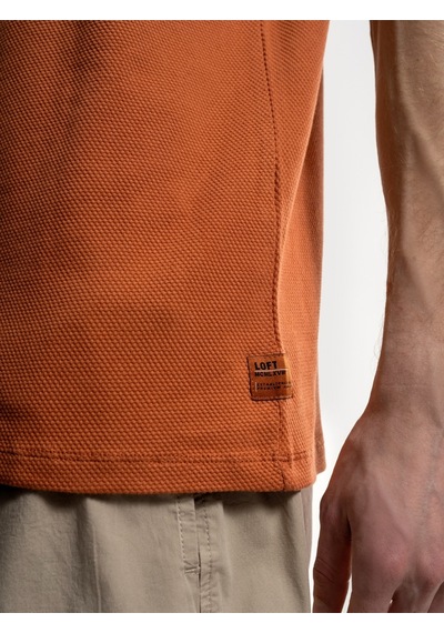 Regular Fit Erkek Tshirt K.kol Gınger