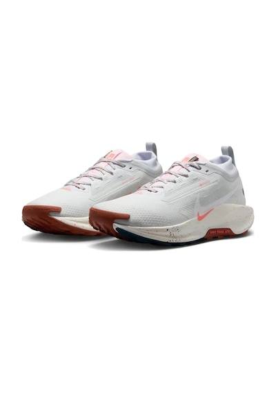 Nike Pegasus Trail 5 Gore-tex Fq0908-009 Çok Renkli