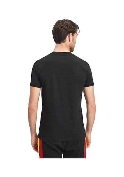 Galatasaray Lisanslı 5 Yıldızlı Arma Siyah T-shirt Uv Ahşap Kutulu SIYAH