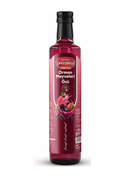 Orman Meyveleri Özü 650g
