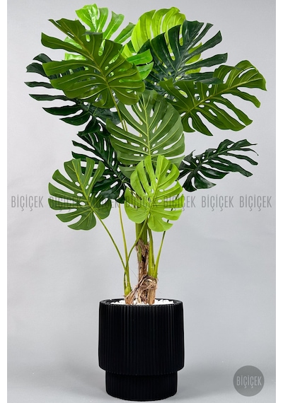 Biçiçek Yapay Monstera Ağacı Deve Tabani 160 Cm Si̇yah Vega Saksıda