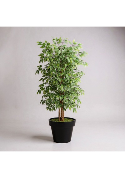 Yapay Ficus Ağaç 150 Cm Siyah Plastik Saksı Yeşil