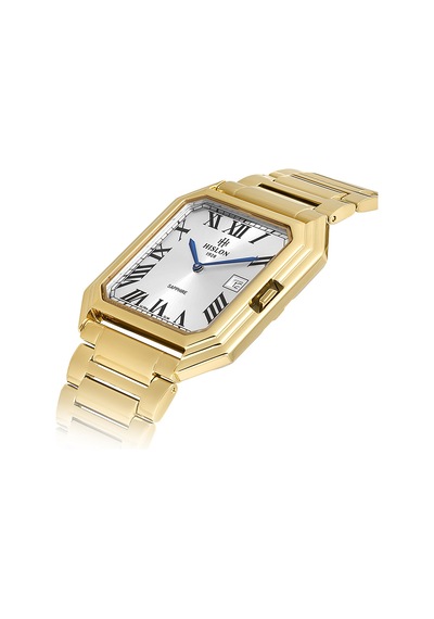 Hislon Men's Classic Cl170g-02sg Çok Renkli