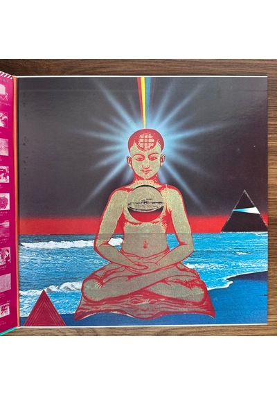 Carlos Santana The Swing Of Delight