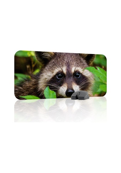 Rakun Kaymaz Dikişli Kauçuk Oyuncu Mousepad V3 - 70x30 Xl Gaming Mouse Pad Fare Altlığı