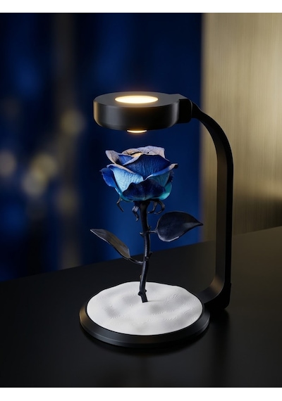 Moonlamp Mavi Gül Dekoratif Hediyelik Lamba