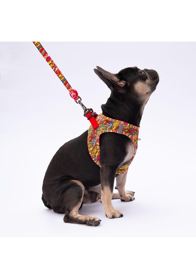 Pawstar Wow Leash Kedi Köpek Sevk & Gezdirme Kayışı Köpek Uzatma Tasması Kırmızı