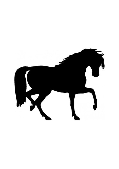 At Araba Sticker Yapıştırma 25Cm
