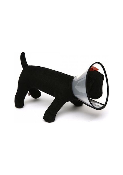 Nunbell Elizabet Köpek Yakalık 30 CM