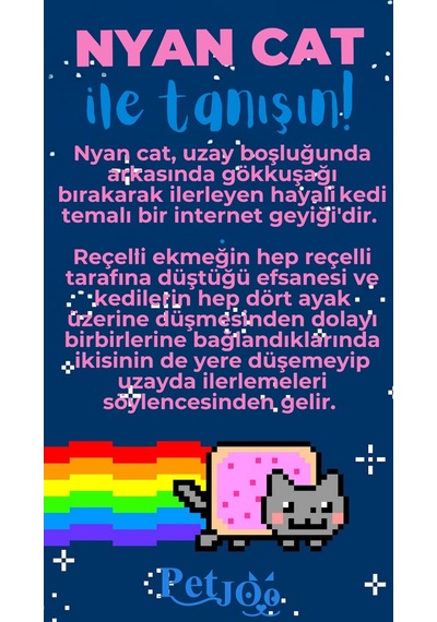 Petjoo 2.Nyan Cat Mavi-Pembe Qr'lı Kedi Künyesi