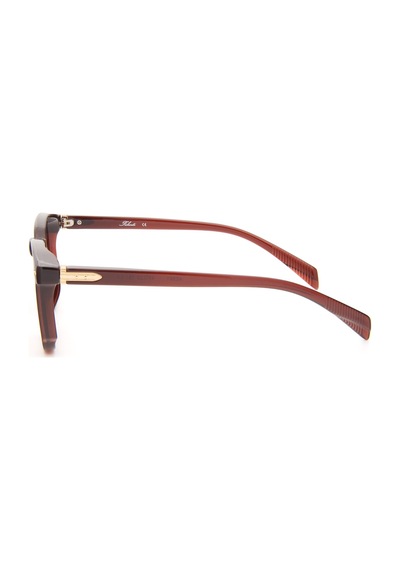 Falenti Ae981-c2 49 Unisex Güneş Gözlüğü Kahverengi