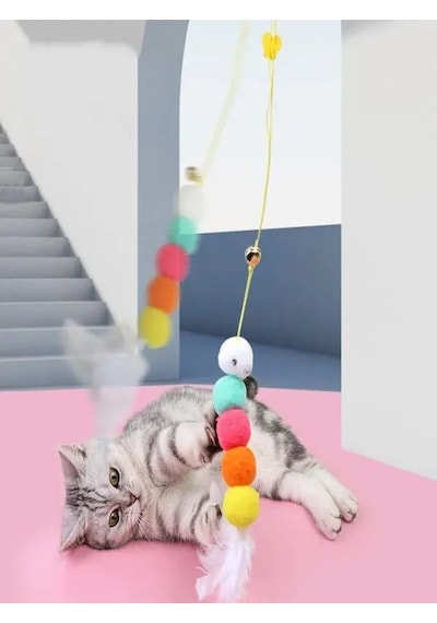 Tavana Asılan Kedi Oyuncağı