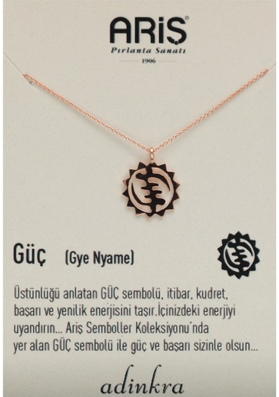 Ariş Güç Sembolü Altın Kolye