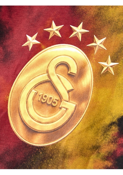 Gsstore Galatasaray Erkek T-shirt E261041 Siyah