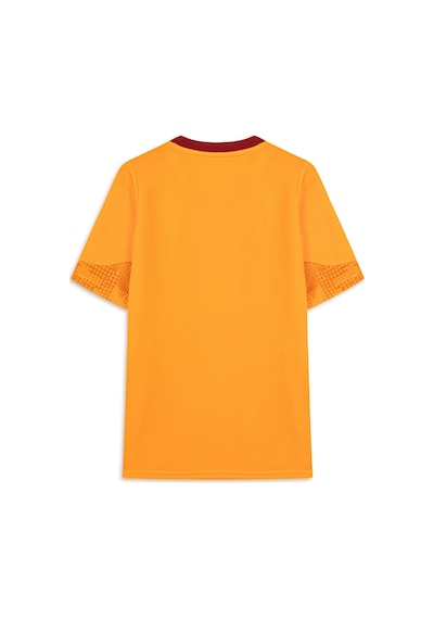 5tate Of Mınd Puma Kids Galatasaray Genç Antrenman Forması, Intense Orange, 15-16y Açık Bordo