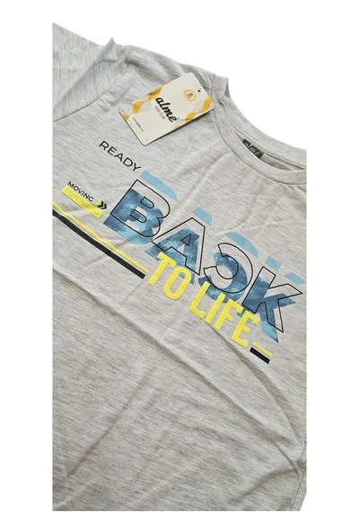 Almi Erkek Çocuk T-shirt Gri
