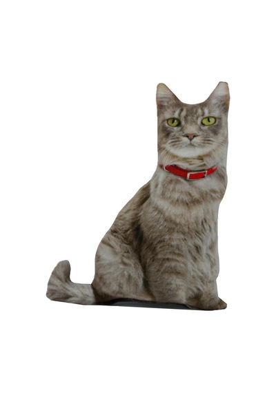 3d Dijital Baskılı Dekoratif Kedi Yastık Renkli