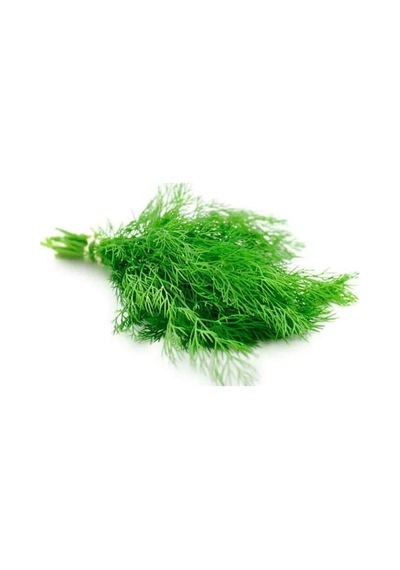 Dere Otu Tohumu 10 Gr 0,5 Mm-10 Metre
