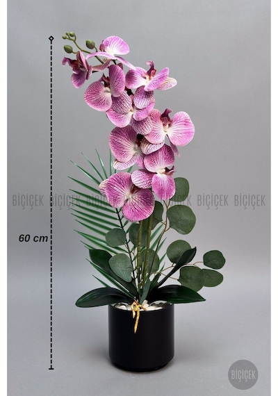 Yapay Phalaenopsi S Mor Beyaz Orki De 60 Cm Siyah
