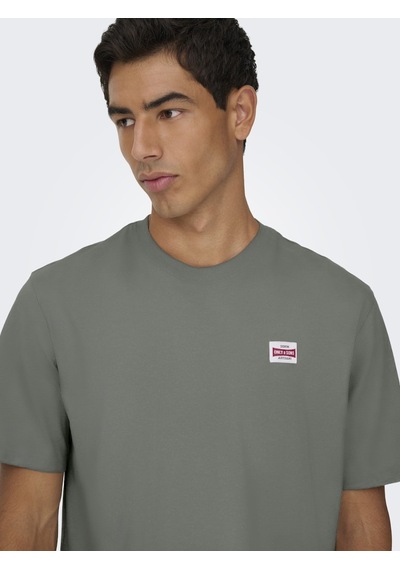 Only & Sons Erkek Yuvarlak Yaka Regular Fit Gri T-shirt - 22033190