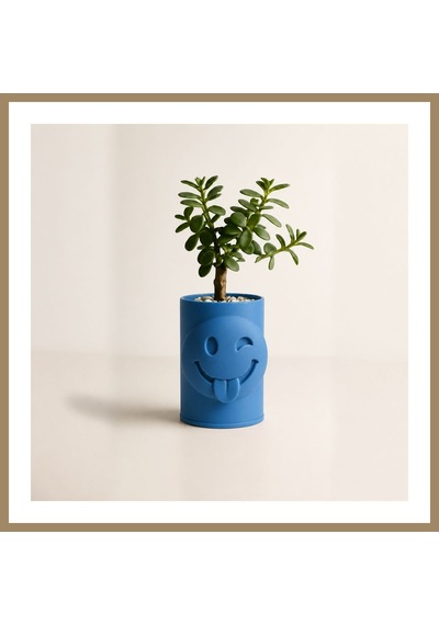 Bezos 3d Baskı Emoji Planter - Göz Kırpan Yüzlü Sukulent Saksısı-mavi 22