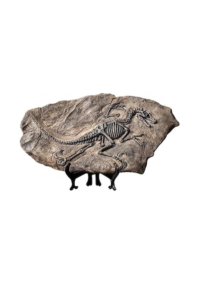 Vintage Dinozor Fosil Reçine Heykeli Retro Tarzda Minyatür Kapalı Alan Dekorasyonu Ve Koleksiyon Parçası Eşsiz Hediyelik Ve Hatıra Objeleri