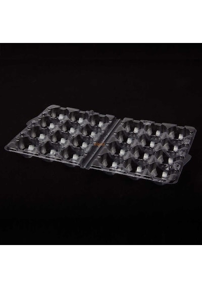 Bıldırcın Yumurta Viyolü 12 Li 100 Adet