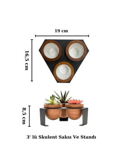 Halohope Metal Stantlı 3'lü Skulent Saksısı Siyah Saksılık