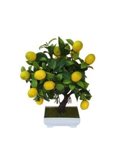 15 Adet Tohum Organik Hobi Bahçe Balkon Limon Bonsai Ağaç Tohumu