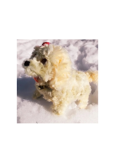 Pilleri Hediye Yürüyen Havlayan Sevimli Peluş Pilli Oyuncak Köpek 13 Cm. Krem Pembe Mavi Kahve Mor Krem