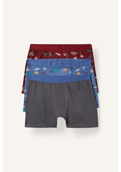 Defacto Baskılı Penye 3lü Boxer Erkek Çocuk I3831a826aubr248 Bordo-br248