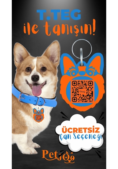 Petjoo 15.T.Teg Turuncu-Mavi Qr'lı Köpek Künyesi