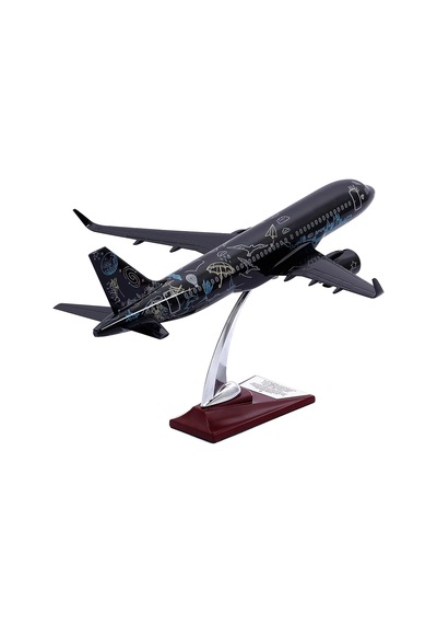 Zekupp Airbus A320, 1/100 Thy Siyah Renk, Desenli Uçak Maketi Zu-uck0113