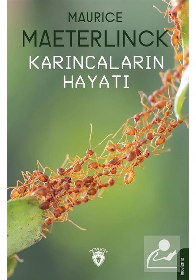 Karıncaların Hayatı - Maurice Maeterlinck - Dorlion Yayınevi